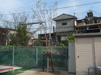 現在の写真